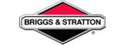 Briggs & Stratton